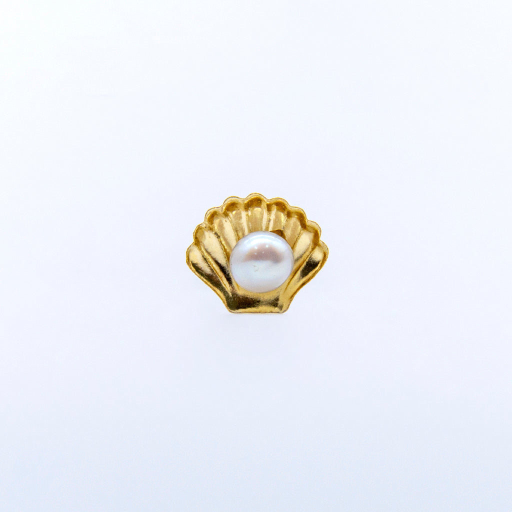Broquel Shell