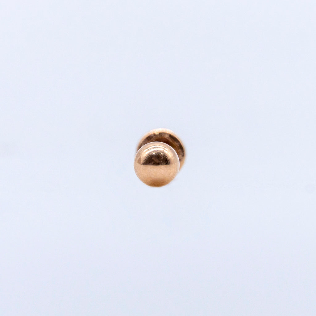 Broquel Dormilona Oro Rosa