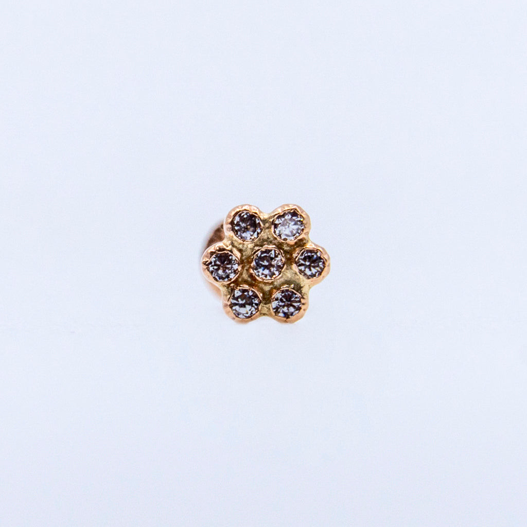 Broquel Roseta Gold Rose