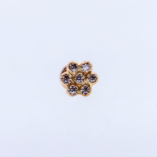 Broquel Roseta Gold Rose