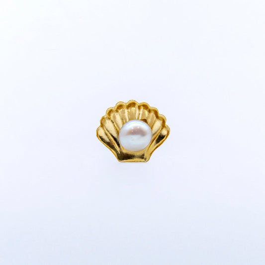 Broquel Shell