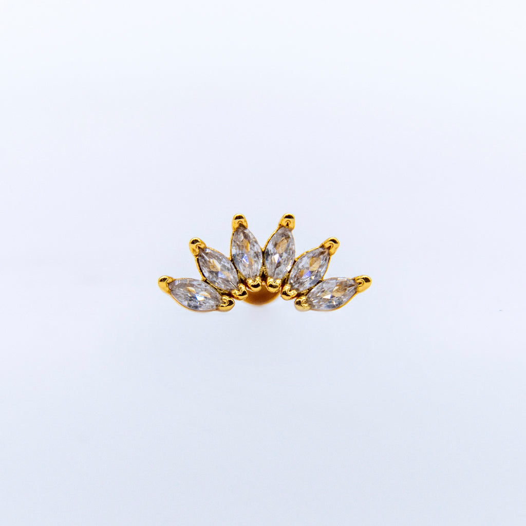 Hexa Corona Cristal
